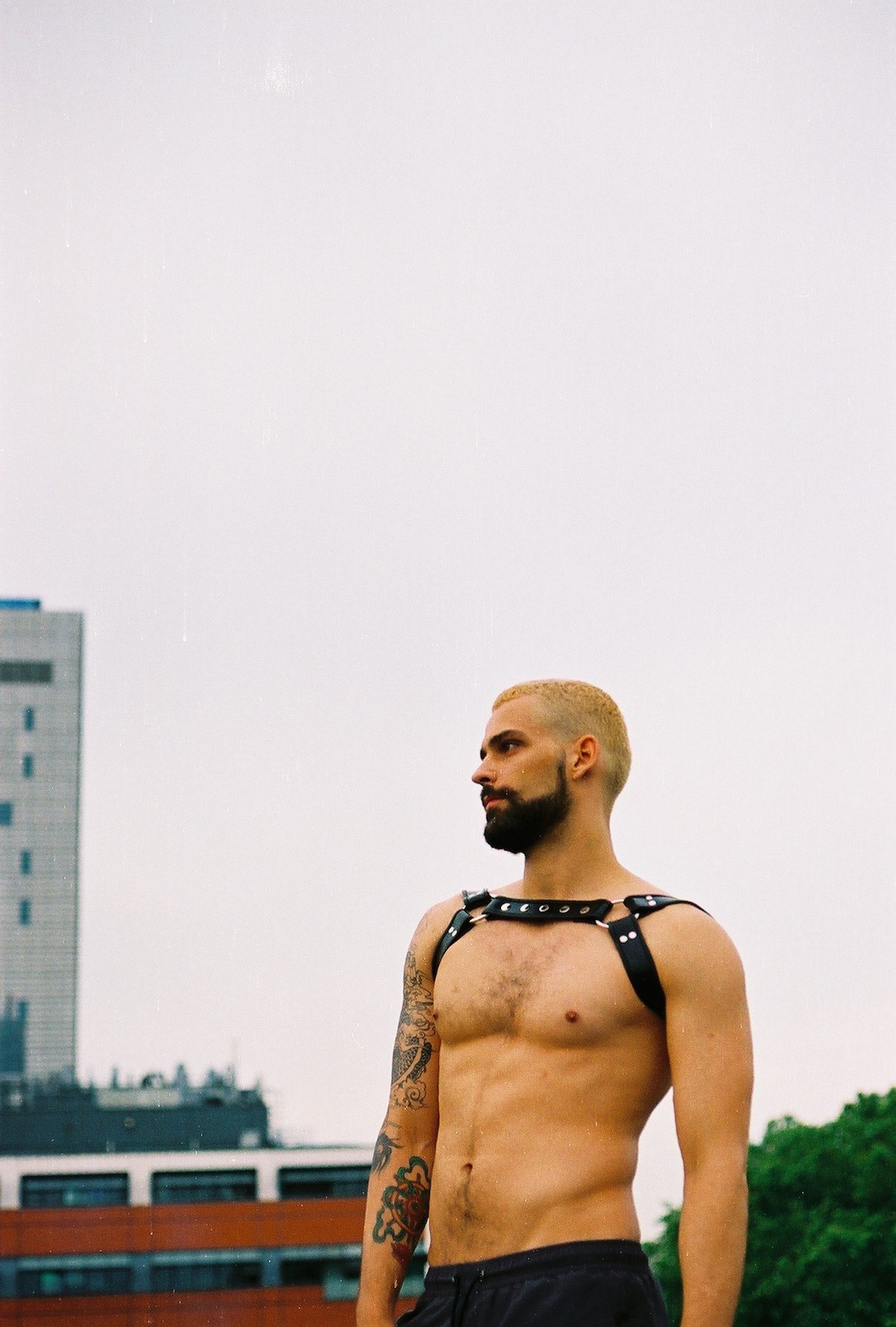 tumblr_o98n95NeRh1qfral5o6_r2_1280