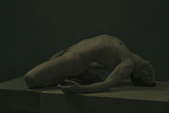 CognitiveBodies11_mini