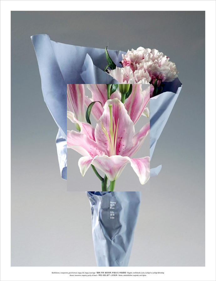 Floriography_PeonyLily_mini