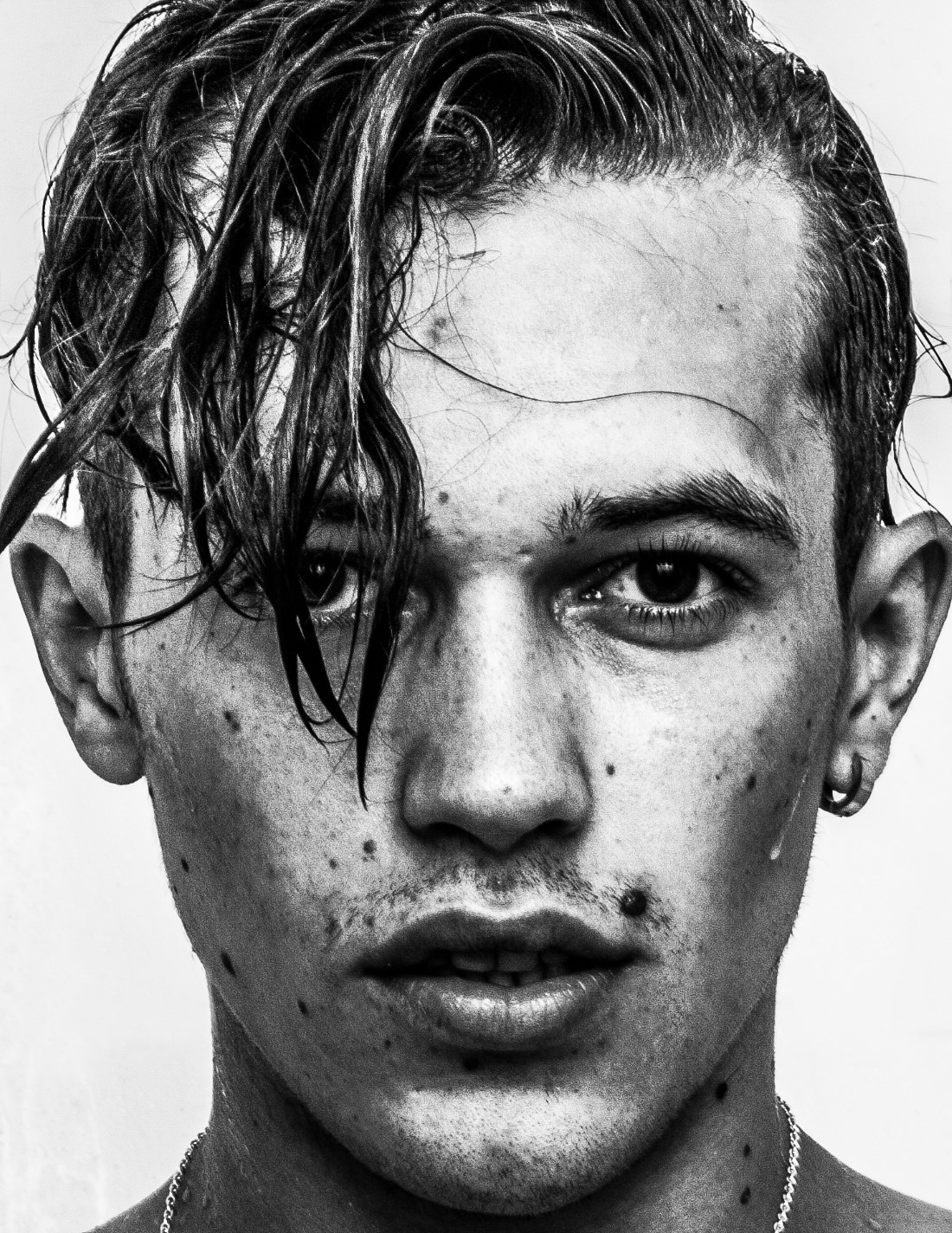 TARAS-HOMOTOGRAPHY-MURLIN-03