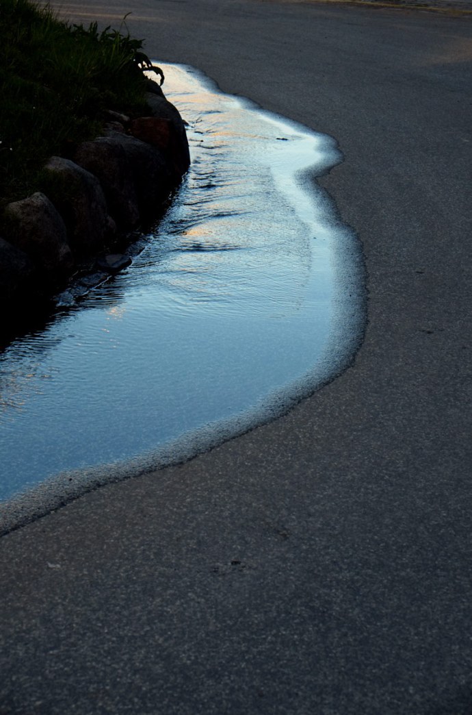 alexis vasilikos (8)