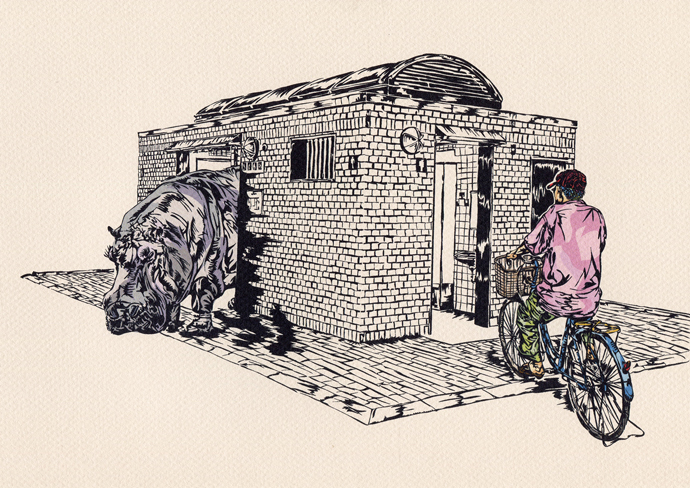 「Fools Rush In, Hippos Waltz Out」