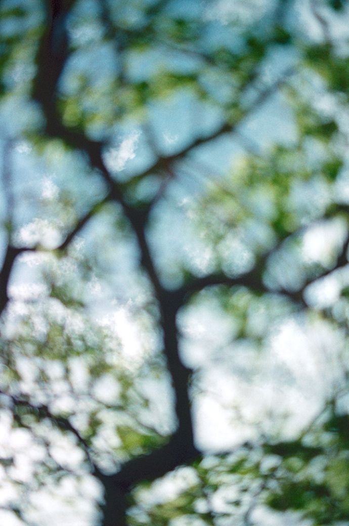 Ning Kai Sabrina Scarpa_The Land Between Us_03