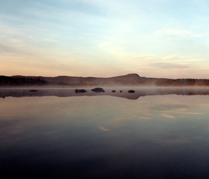 berbertheunissen_kaltblut_001