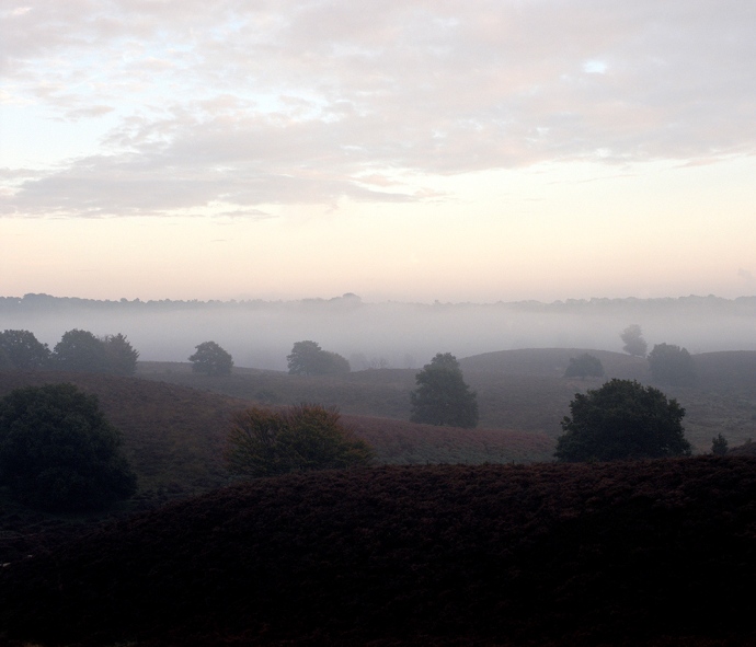 berbertheunissen_kaltblut_004