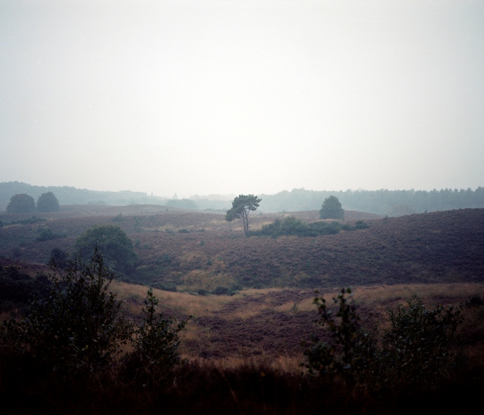 berbertheunissen_kaltblut_006