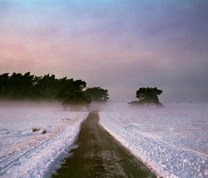 berbertheunissen_kaltblut_009