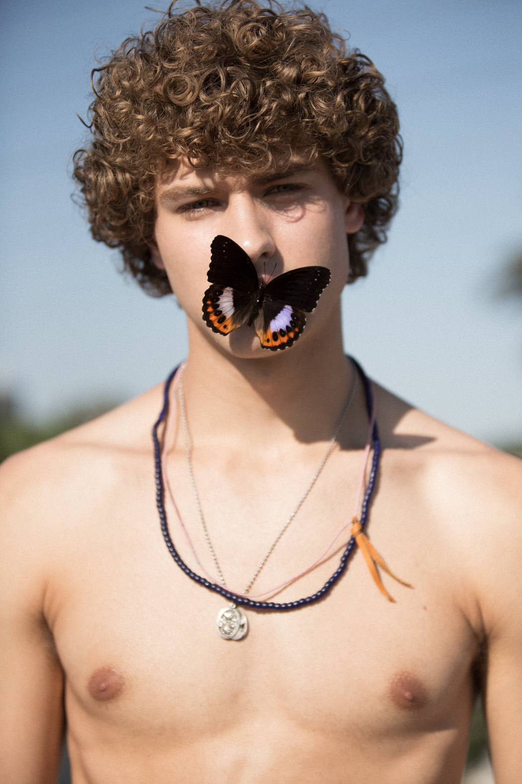 Butterfly by Necromance LA Accessories by American Rag