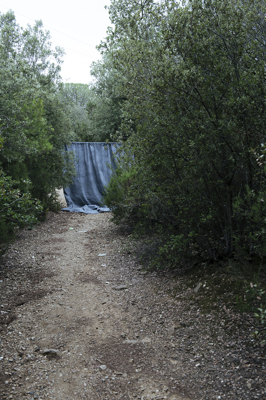 beatrizmaldonado_7_mini