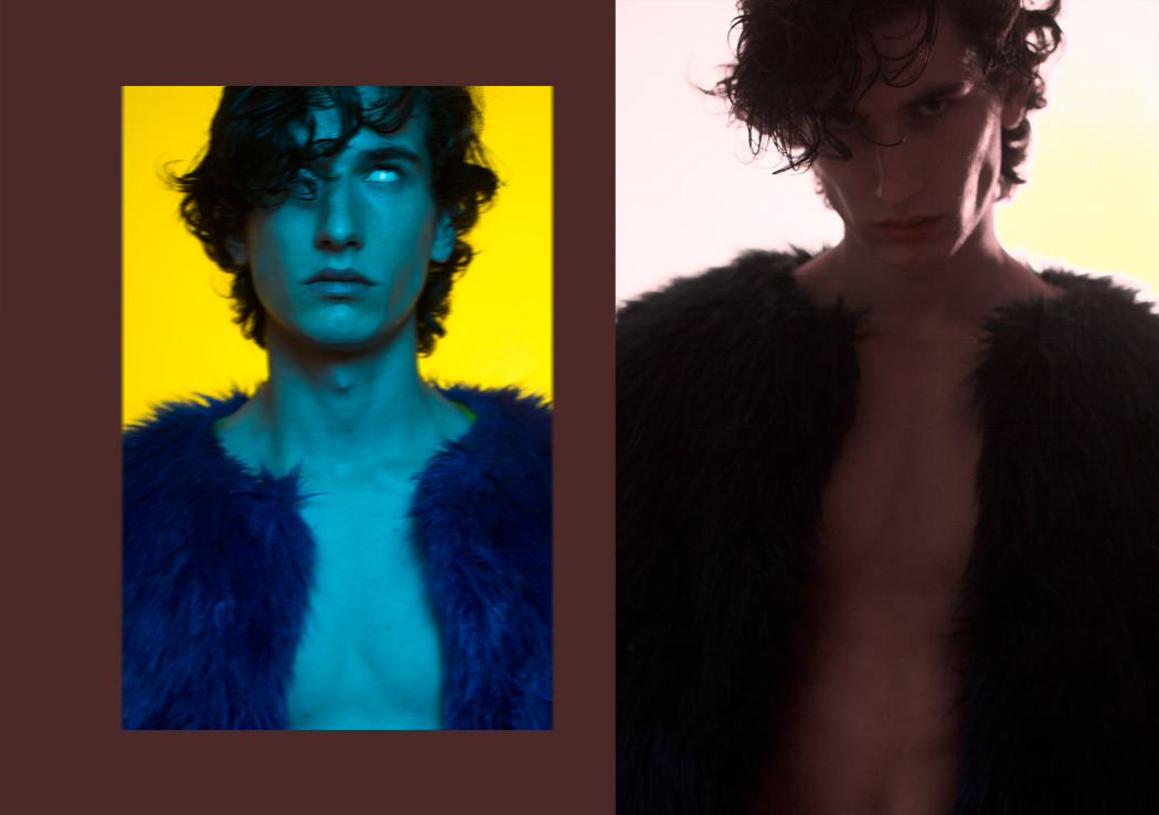 Blue fur by Alexandru Simedru