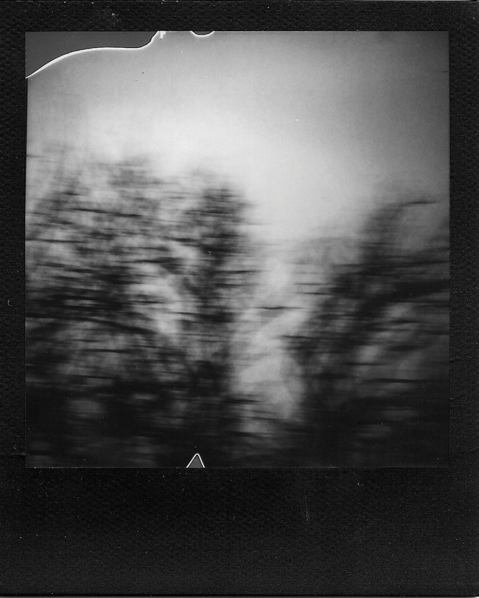 spiegelbild_costaskazantzis19