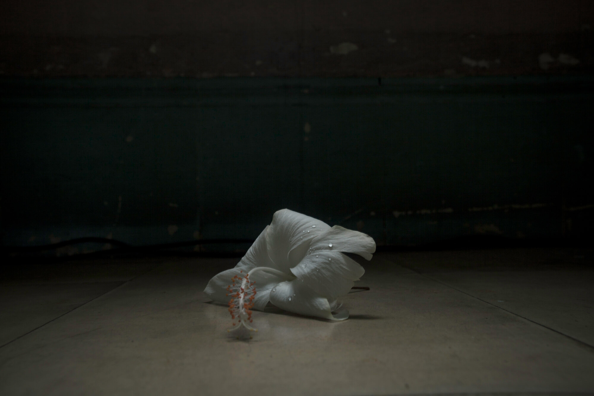 _mg_5895-titel-marpacifico-blanco-en-la-noche-emotionale-automatismus-mit-ablaufdatum-i-2016_hm-papier-fine-art-baryta-satin_3558x2372cm_digital-1