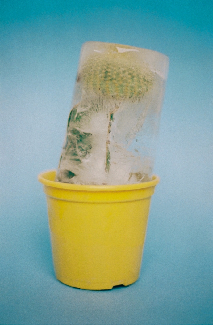 Vinicius Terranova Photography