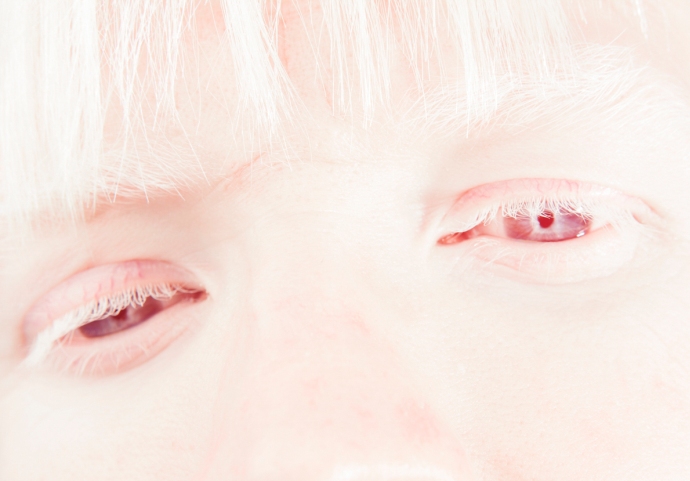 Vinicius Terranova Photography