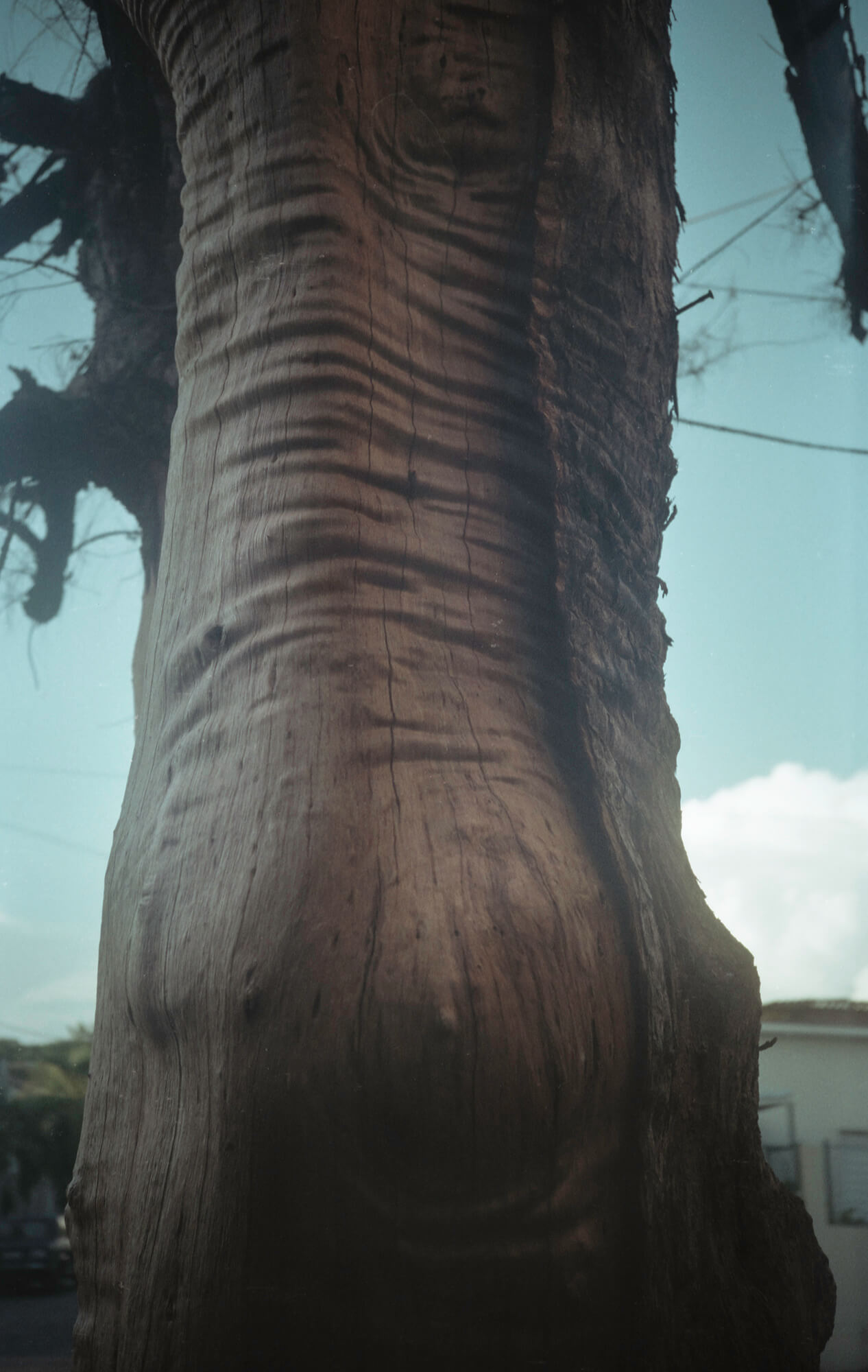acm_cuba_20x1266cm_2016_hm-papier-fine-art-baryta-satin_analog-2