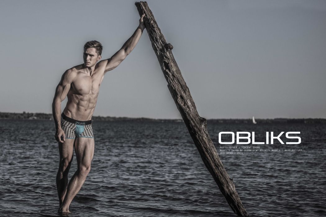 david-mcdiarmid-vincentchine-obliks01-copy